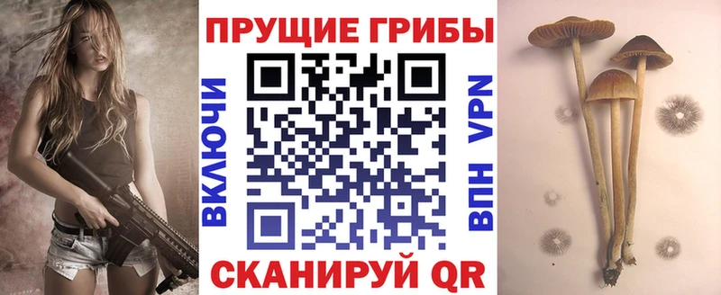 Псилоцибиновые грибы прущие грибы  Усолье 